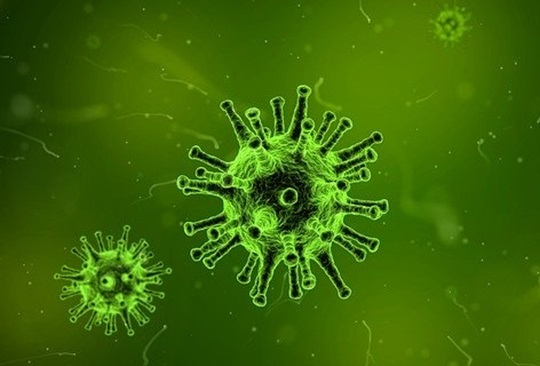 Pandemia